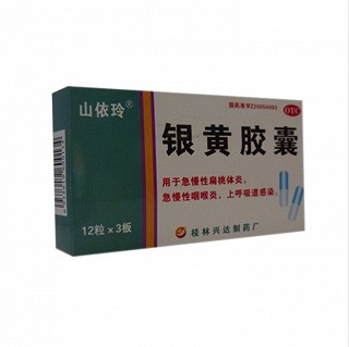 銀黃膠囊 銀黃膠囊