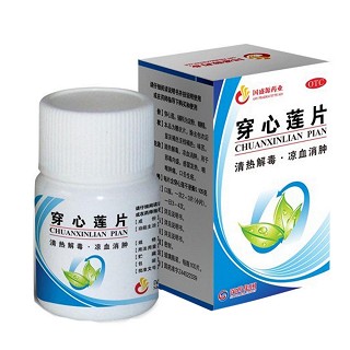 穿心蓮片 穿心蓮片