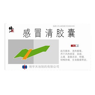 感冒清膠囊(修正)