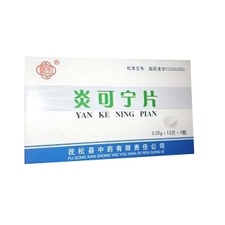 炎可寧片(撫松縣)