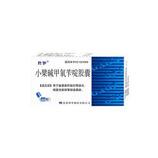 小檗堿甲氧芐啶膠囊(明華) 小檗堿甲氧芐啶膠囊(明華)