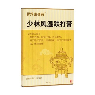 少林風(fēng)濕跌打膏(九州祥云) 少林風(fēng)濕跌打膏(九州祥云)