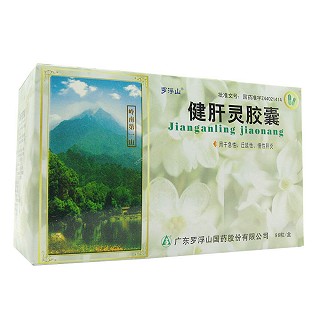 健肝靈膠囊(羅浮山)