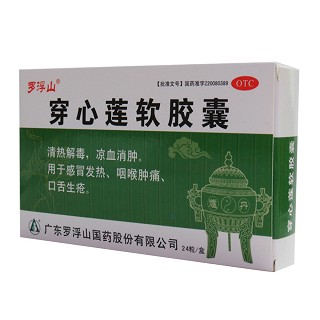 穿心蓮軟膠囊 穿心蓮軟膠囊