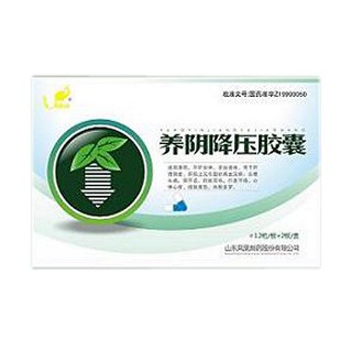 養(yǎng)陰降壓膠囊(鳳凰)