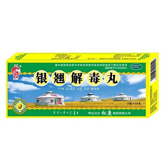 銀翹解毒丸(松鹿)