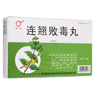 連翹敗毒丸(丹龍) 連翹敗毒丸(丹龍)