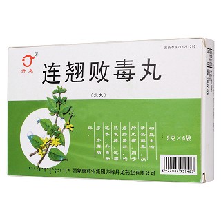 連翹敗毒丸(丹龍) 連翹敗毒丸(丹龍)