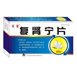 復(fù)腎寧片(核康) 復(fù)腎寧片(核康)