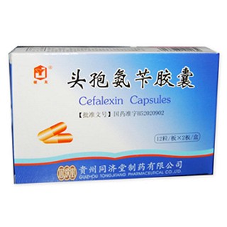 頭孢氨芐膠囊