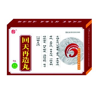 回天再造丸(華僑)