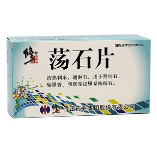蕩石片(修正) 蕩石片(修正)