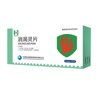 消渴靈片(天津藥業(yè)) 消渴靈片(天津藥業(yè))