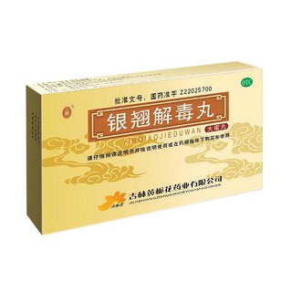 銀翹解毒丸 銀翹解毒丸