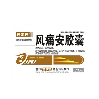 風(fēng)痛安膠囊(吉爾吉)