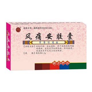 風(fēng)痛安膠囊(延邊朝藥)