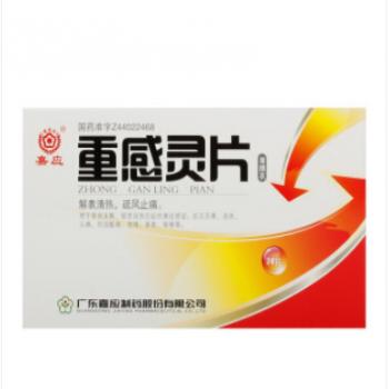 重感靈片(嘉應(yīng)) 重感靈片(嘉應(yīng))