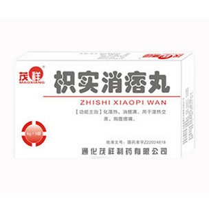 枳實消痞丸(茂祥)
