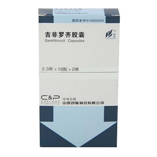 吉非羅齊膠囊(創(chuàng)隆)