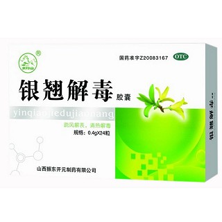 銀翹解毒膠囊(振東開元)