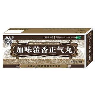 加味藿香正氣丸 加味藿香正氣丸