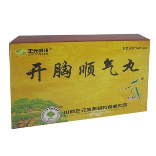 開胸順氣丸(正元盛邦)