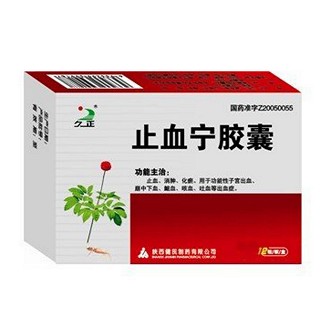 止血寧膠囊(久正)