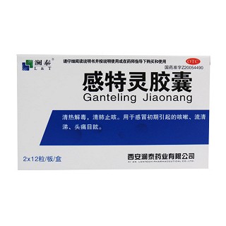 感特靈膠囊(瀾泰)