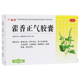 藿香正氣膠囊(亞寶)