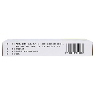 藿香正氣膠囊(亞寶)