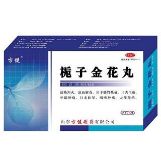 梔子金花丸 梔子金花丸