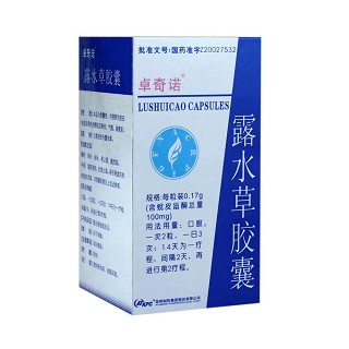 露水草膠囊(制藥)