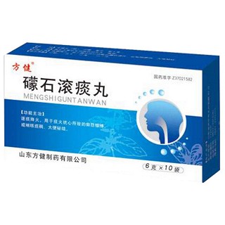 礞石滾痰丸(方健)