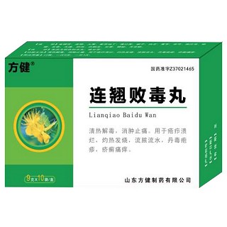 連翹敗毒丸(方健) 連翹敗毒丸(方健)