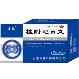 桂附地黃丸(方健)