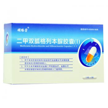 二甲雙胍格列本脲膠囊(I)(輔臻堂)