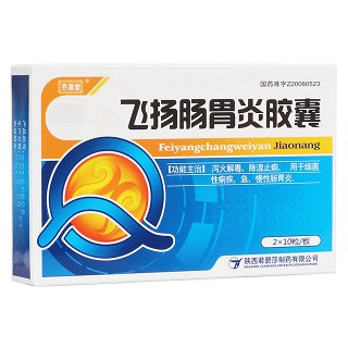 飛揚(yáng)腸胃炎膠囊(齊源堂)