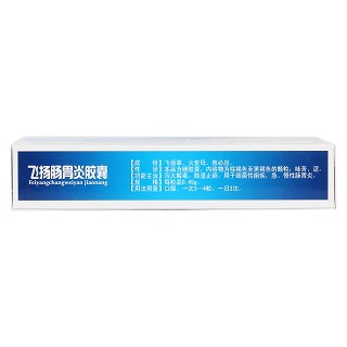 飛揚腸胃炎膠囊(齊源堂) 飛揚腸胃炎膠囊(齊源堂)