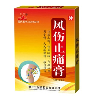 風(fēng)傷止痛膏(全雞)