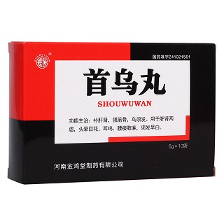 首烏丸(金鴻堂)