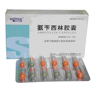 氨芐西林膠囊(圣大)