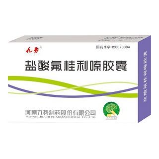 鹽酸氟桂利嗪膠囊(九勢)