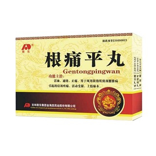 根痛平丸(熬東)