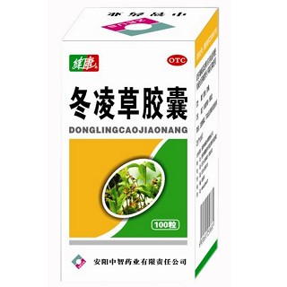 冬凌草膠囊 冬凌草膠囊