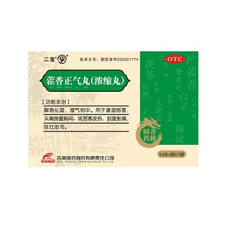 藿香正氣丸(二寶)