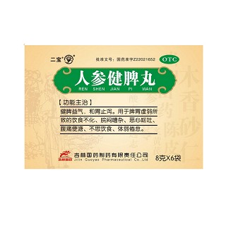 人參健脾丸(二寶)