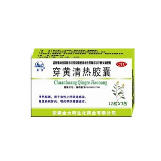 穿黃清熱膠囊 穿黃清熱膠囊