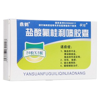 鹽酸氟桂利嗪膠囊(平光制藥)