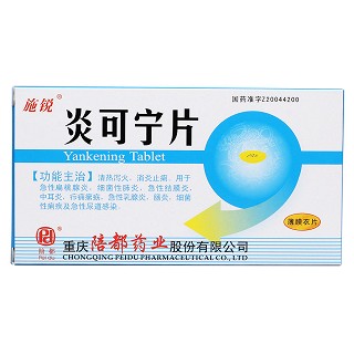 炎可寧片價格 炎可寧片價格