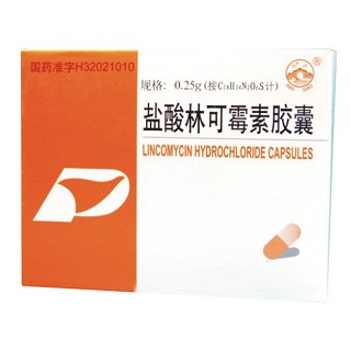 鹽酸林可霉素膠囊(鵬鷂) 鹽酸林可霉素膠囊(鵬鷂)